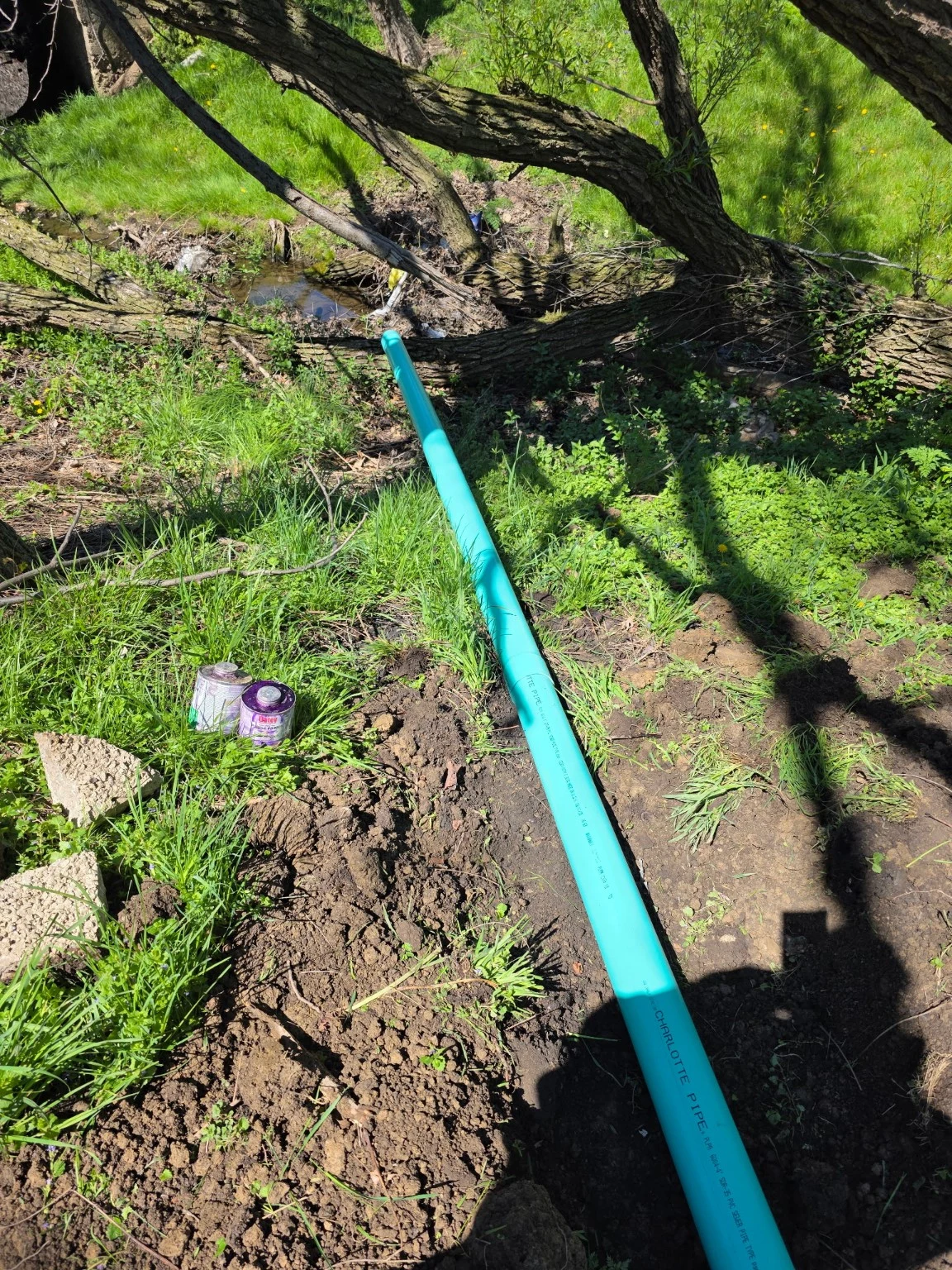 Green pipe laid beside a narrow trench near trees